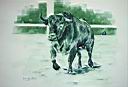 05-Toro en la plaza1-50x70.jpg